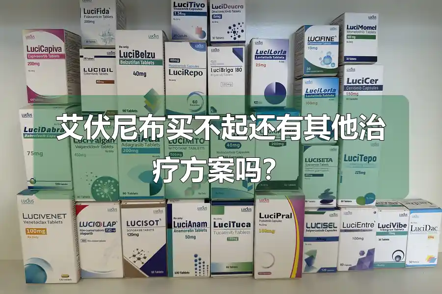 艾伏尼布买不起还有其他治疗方案吗?